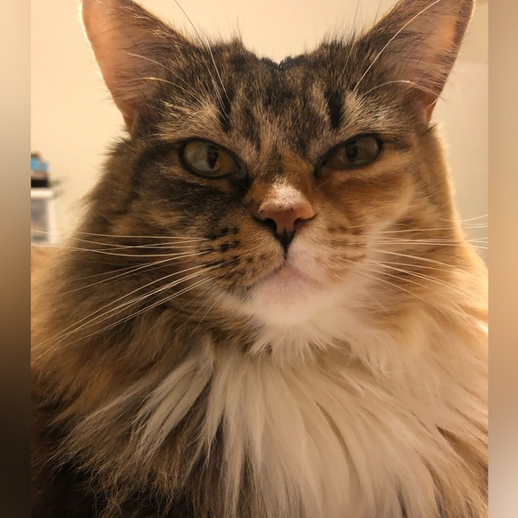 All about me! - Picture 2 of 6